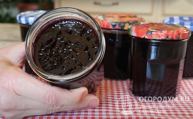 «Пятиминутка» – классический рецепт заготовки из черной смородины