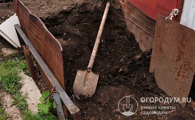 Перед приходом морозов основание куста можно укрыть торфонавозным компостом, который защитит корни от вымерзания зимой и обеспечит питанием сразу после схода снега