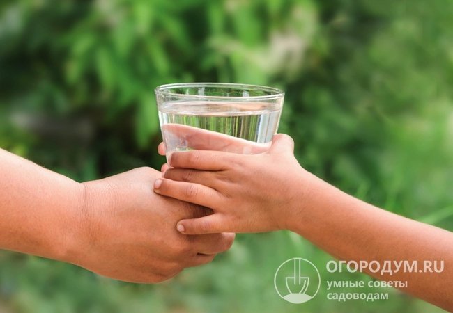 Взрослому человеку необходимо пить в среднем 1,5-2 литра воды ежедневно