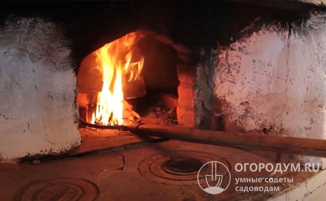 Чтобы грибы не сгорели и не зажарились, их ставят в печь после того как дрова полностью прогорят, и температура в топке снизится до +60…70 ℃
