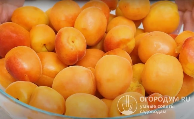 Спелые плоды обладают нежной, сочной, кисло-сладкой мякотью и характерным фруктовым ароматом