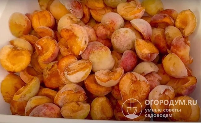 Из замороженных фруктов варят компоты, используют в качестве начинки и для украшения выпечки, употребляют в свежем виде, добавляют в различные блюда