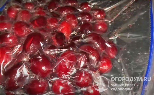 Порционное хранение ягод в зип-пакетах позволяет предотвращать попадание воздуха и влаги