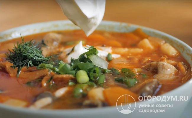 При желании в зажарку можно добавить томатную пасту, подавать грибной суп лучше с зеленью и сметаной