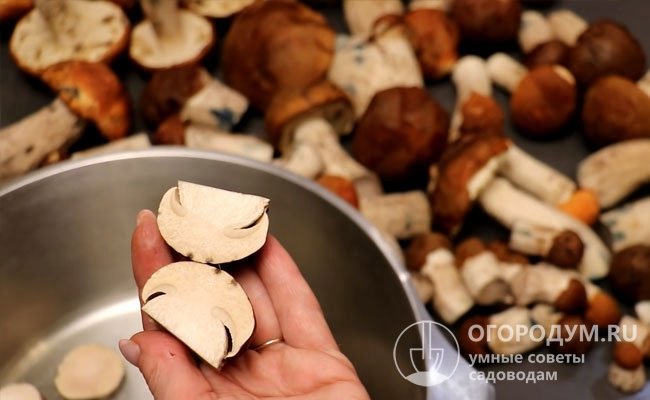 Трубчатые грибы обладают плотной, мясистой структурой, которая хорошо сохраняется и после разморозки