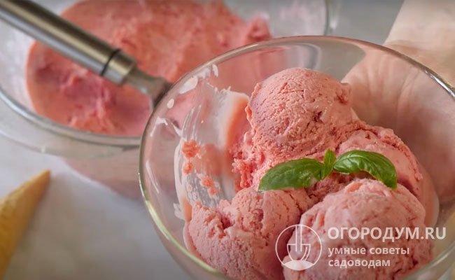 Земляничное пюре – отличная основа для приготовления домашнего мороженого