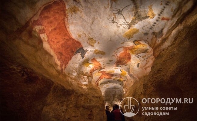 На фото – доисторические изображения золотисто-красных массивных коров, которые были обнаружены в пещере Ласко на юго-западе Франции близ города Монтиньяк